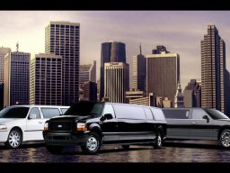 LIMO AND PARTYBUS SERVICES