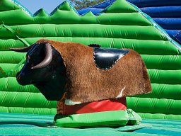 MECHANICAL BULL